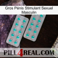 Gros Pénis Stimulant Sexuel Masculin 29